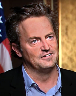 Matthew Perry 2012.