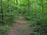 The Sinkhole Trail in the park's west section