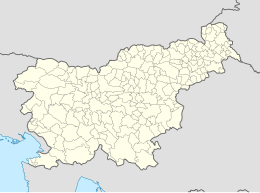 Dolenje Mokro Polje (Slovenië)