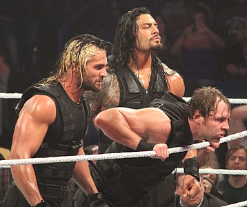 The Shield (professional wrestling)