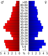 Bevolkingspiramide Clay County