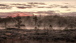 Mukri Bog near the village