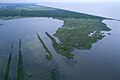 Image 26Aerial view of Louisiana's wetland habitats (from Louisiana)