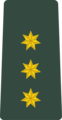 უფროსი ლეიტენანტი Uprosi leit’enant’i (Georgian Land Forces)[9]