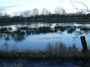 Natuurreservaat Erdgarten-Lauerwiesen bij Ostenland