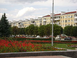 Central part of Dolyna