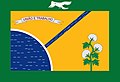 Bandeira de Ibimirim