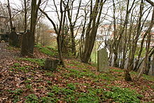 juedischer-friedhof-laufenselden