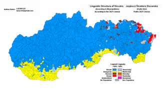 Carte des municipalités de Slovaquie selon leur langue majoritaire.