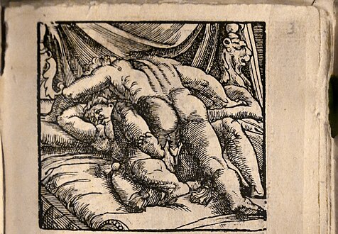 The third woodcut copy image of I modi.[11]A figure in this image has been copied in the maiolica dish titled Narcissus (The vain lover of his own image).[11]