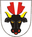 Wappen von Turovice