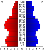 Bevolkingspiramide Schenectady County