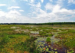 Grandma Lake