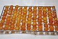 Drying geumgyul-jeonggwa (candied kumquat) on a drying rack