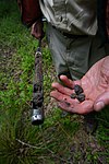 A researcher’s right hand holds out a thin metal sediment corer containing wetland soil from Morrow Mountain. The left hand holds out small bits of soil in the foreground of the image.