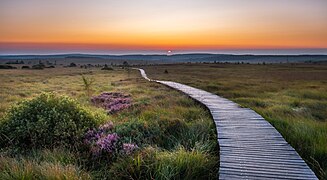 Sonnenaufgang im Wallonischen Venn