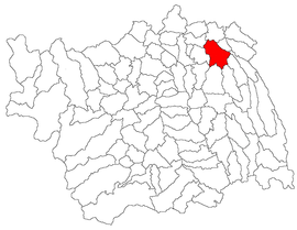 Location in Bacău County