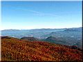 Viewing North Carolina from Brasstown Bald