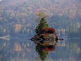 Naamloos eiland in een meer nabij Saranac Lake in de staat New York, dat te klein is voor menselijke bewoning.