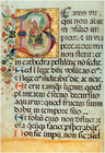 Esempio di salterio diurno manoscritto miniato del sec. XVII già presente nella Biblioteca Scarabelli di Caltanissetta, rubato nel 2010 [20] proveniente dal Convento dei Cappuccini in contrada Pigna a Caltanissetta.