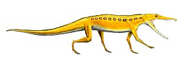 Chanaresuchus