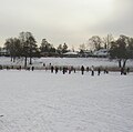 Bagsværd Sø iset til, januar 2010