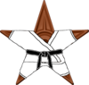 The Martial Arts Barnstar