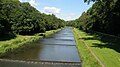 Wiese flussaufwärts