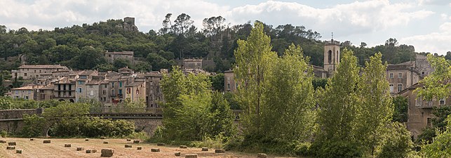 Sauve vist de la plana de Vidorle