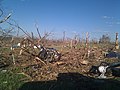 Image 1Tornado damage in Phil Campbell following the statewide April 27, 2011, tornado outbreak (from Alabama)