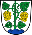 Weinrebe