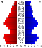 Bevolkingspiramide Vernon County