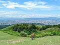 三重目から望む二重目と奈良市街