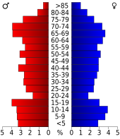 Bevolkingspiramide Kinney County