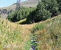 Cottonwood Creek in the remote Trout Creek Mountains of southeast Oregon *** Photo shown on Main Page DYK Section 5 May 09