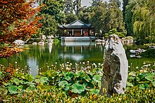 Still pond surrounded by plants with a Pagoda- style structure on the far side.