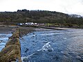 A view from the end of the old jetty