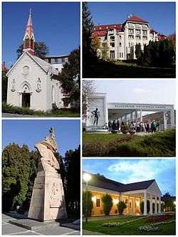 Sights of Piešťany. Top left: Chapel of the Sacred Heart of Jesus (Kaplnka Božského Srdca Ježišovho). Top right: Thermia Palace. Bottom left: Monument Thanks to the Liberators (Vďaka osloboditeľom). Bottom upper right: Colonnade Bridge. Bottom lower right: Napoleon's Spa Resort.