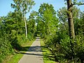 Aufgelassene Trasse (Radweg) bei Stellau (Juni 2006)