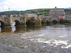 The Old Bridge with a view of Carrickbeg