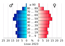 Bevolkingspiramide van de gemeente Lisse