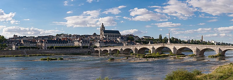 Panorama van Blois en de rivier de Loire