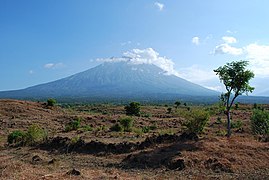 北東から