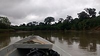 View from a side branch, in the Medio Atrato region