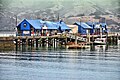 Pier in Akaroa