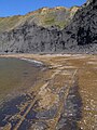 Shale beach and cliffs