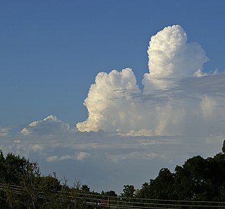 Figure 3 : Cumulus congestus à l'avant d'un orage multicellulaire