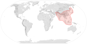 Description de l'image Apis cerana distribution map.svg.