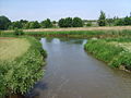 Mündung in die Schwarze Elster