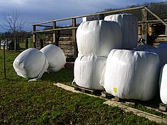 Le plastique blanc accumule moins de chaleur et rend d'éventuelles déchirures ou trous plus visibles (ici près de Bâle, en Suisse).